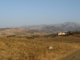 Fields nr Lake Viuela