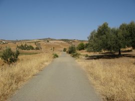 Track besides Lake Viuela