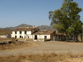 Sheep Farm