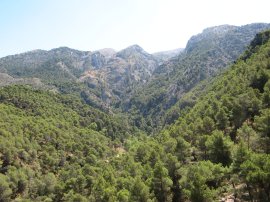 Foothills of La Maroma