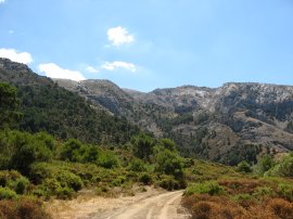 Foothills of La Maroma