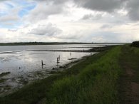 Strood Channel