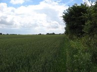 Footpath from East Mersea Road