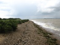 Sea Shore, Mersea Island