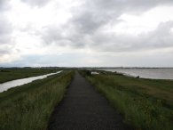 Sea Wall, Mersea Island