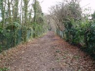 Carrs Lane, Enfield