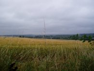 Fields Nr West Hyde