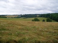 Fields nr Heronsgate