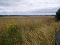 Fields Nr West Hyde