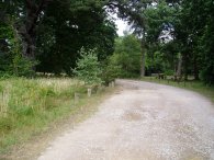 Northmoor Hill Wood