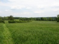 Fields nr Chiddingstone