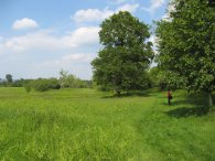 Penshurst Place Estate