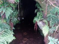 Mine adit nr Zennor