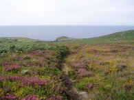 View towards Bosigran Castle