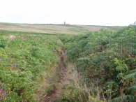 Path across the moorland