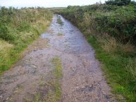 Waterlogged path