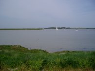 Swale Estuary by Faversham Creek