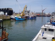 Whitstable Harbour