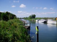 The Stour at Plucks Gutter