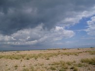 Walmer Beach