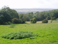 View over Romney Marsh