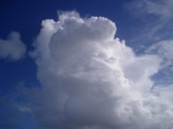 Clouds over Dyne's Wood