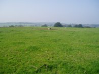 Fields nr Warehorne