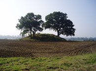 Field nr Appledore