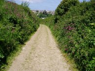 Path from Trevemper