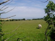 View to Thames Estuary