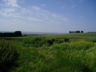 View across Sheppey