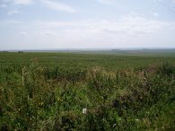 View towards The Swale