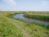 Harty Marshes