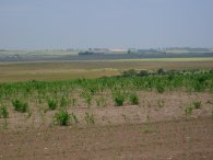 Looking back over Sheppey