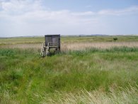 The Swale Nature Reserve