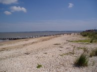 The Swale Nature Reserve