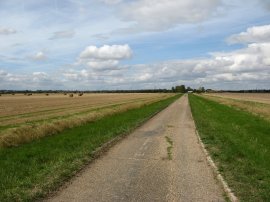 Fields nr Bradwell on Sea