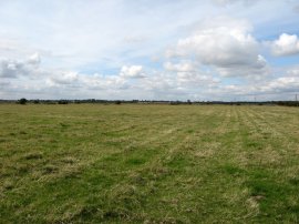 Fields nr Bradwell on Sea