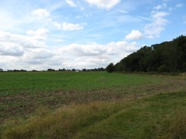 Approaching Tillingham