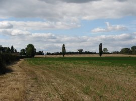 Fields nr St Lawrence