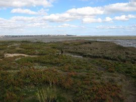 Canvey point