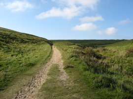 Path by Cubert Common