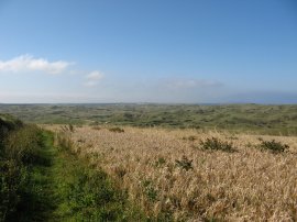 View towards Penhale Sands