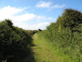 Path nr St Piran's Round