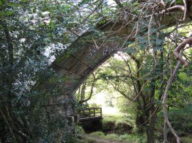 Rail Viaduct by Perranwell