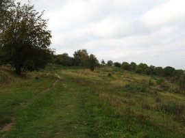 Heading up Bacombe Hill