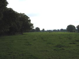 South Bucks Way