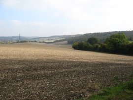 Fields nr Little Missenden