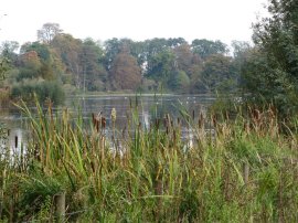 Lake nr Shardeloes