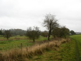 Heading towards Chalfont St Peter